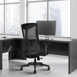 Rose Henley Mesh Black Medium Back Revolving Ergonomic Office Chair-11