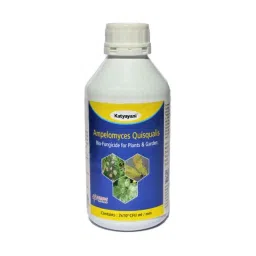 Katyayni 10L Ampelomyces Quisqualis Bio Fungicide-image-58