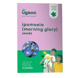 Ugaoo 25g Flower Ipomoea Seeds, NUFSO050-image-16
