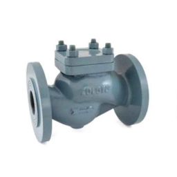Zoloto 32mm Cast Iron Straight Pattern Flanged Horizontal Lift Check Valve, 1067-image-45