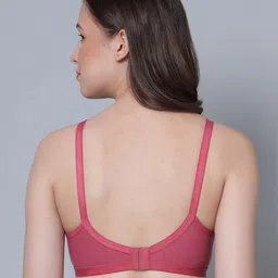Aimly Pack Of 3 Full Coverage Non Padded Cotton Everyday Bra With All Day Comfort image 5