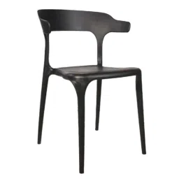 Rose Vision Plastic Black Medium Back Cafe Chair with Backrest (Pack of 2)-image-21