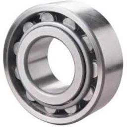 ARB 45x25x100mm Cylindrical Roller Bearing, N-309 45mm (Pack of 10)-image-61