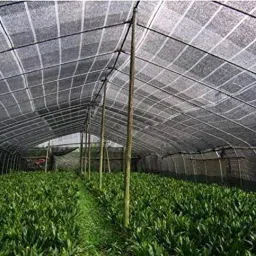 dewan sons Shade Garden Net 10 ft X 30 ft Black UV Stabilized 75% Shade Net Camping Net image 2