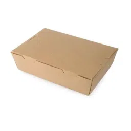 Divatos 500ml 2 Ply Kraft Paper Brown Biodegradable Box for Restaurant &a; Food Delivery, DI500MLKPTBRW (Pack of 25)-image-9