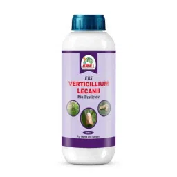EBS 1 Litre Verticillium Lecanii Bio Pesticide for Control Greenhouse Aphids &a; Whiteflies (Pack of 10)-picture-37