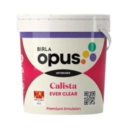 Birla Opus 4 Litre White Calista Ever Clear Interior Emulsion Paint-picture-7