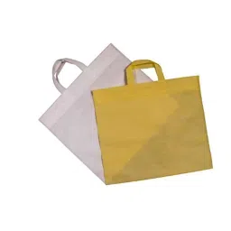 Freeliving 16x21 inch Ivory Double Handle Carry Bag, FLPK1062-25 (Pack of 25)-image-72