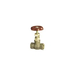 Sant 50mm Screwed Female Threads Gun Metal Globe Valves, IS 9-29
