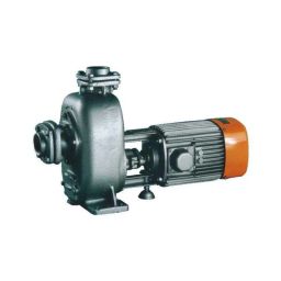Kirloskar 0.5HP Single Phase Self Priming Monoblock Pump, SP 05M-picture-24