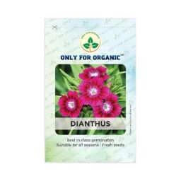 Only For Organic 50g Dianthus Flower Seeds, OFOPPDIA0050-image-71