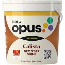 Birla Opus Calista Neo Star Shine 10 Litre White Premium Exterior Emulsion-picture-42