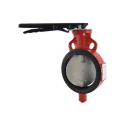 Zoloto 100mm Wafer Type PN 2.5 Butterfly Valve with S.S 304 Disc, 1078I-image-20