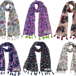 Printed Chiffon Women Multicolor Stole, Fancy Scarf-image-31