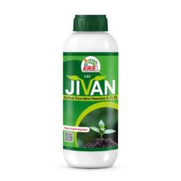EBS Jivan 1 Litre Sodium Para Nitro Phenolate 0.3% SL Plant Growth Promoter for Food Crops, Cash Crops, Vegetables, Fruits &a; Flowers (Pack of 2)-image-97