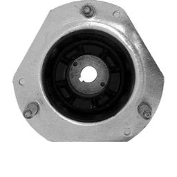 Bravo Front Strut Plate for Ford Ecosport, PN-0821-picture-38