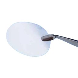 Whatman 47mm Nuclepore Hydrophilic Membrane, 10418312-31