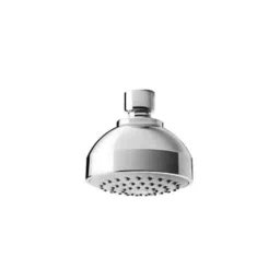 Parryware Single Flow Overhead Shower With Wall Flange, T9984A1-2