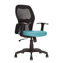 Teal Cosmos MB Nylon Teal Medium Back Ergonomic Office Chair-34