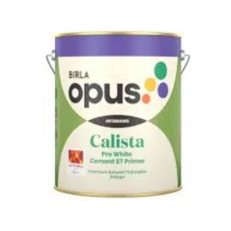 Birla Opus 10 Litre White Calista Pro White Cement ST Primer-picture-48