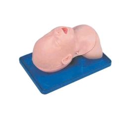 Artsy PVC Neonatal Intubation Head Model, BZ-9OUB-CLTD-42