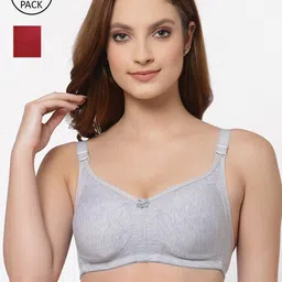 Floret Pack of 2 Grey Melange & Maroon Solid Minimizer Bras-46