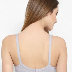 Floret Grey Melange & Fuchsia Pack Of 2 Lightly Padded Push-Up Bra image 5