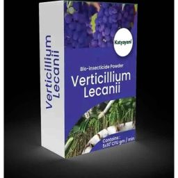 Katyayani 1kg Metarhizium Anisopliae Bio Insecticide Powder, K-5166 (Pack of 10)-picture-11