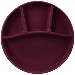 Signoraware Maroon Round Serving Thali, 211 (Pack of 3)-picture-49