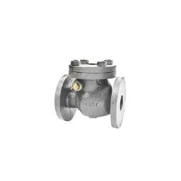 Sant 4 Inch Cast Iron Swing Check Valve, CI 3C-image-34