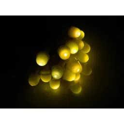 Tucasa Yellow Cap Bulb String Light, DW-281 image 3