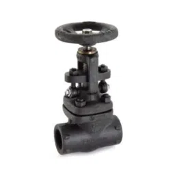 Zoloto 20mm Forged Steel Class-800 Standard Bore Globe Valve, 1074-image-15