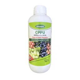 Katyayani 5000ml CPPU Forchlorfenuron 0.1% L SL Plant Growth Regulator-image-2