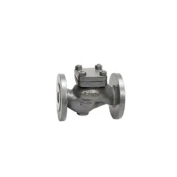 Sant 1/2 Inch Cast Iron Horizontal Check Valve, CI 3A-image-28
