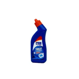 Big Pure 250ml Toilet Cleaner-picture-33