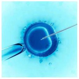 Sky Technology 100-1000ul Variable Micropipette for Laboratory, STI-MP11 image 3
