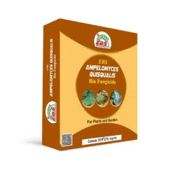 EBS 1kg Ampelomyces Quisqualis Bio Fungicide for Plants, Farm, Home Garden &a; Nursery (Pack of 3)-28