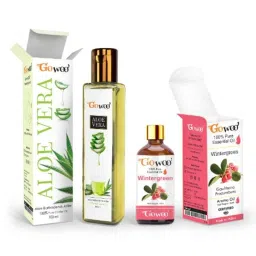 GoWoo 2 Pcs 10ml Natural Wintergreen Aroma Oil &a; 100ml Aloe Vera Carrier Oil Set, GWOC1296-P48+P163-picture-10