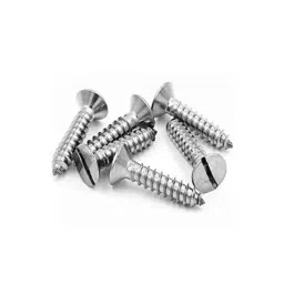 B K Jagan &a; Co 6x60mm CSK Self Tapping Steel Screw (Pack of 250)-picture-24