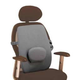 Flamingo Gray Medium Back Rest image 2