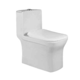 Fastgear 220mm Ceramic White Floor Mount S-Trap Western Style with Soft Close Toilet Seat Cover-picture-4