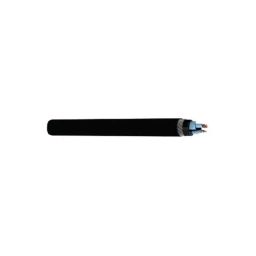 RR Kabel 1.5 Sqmm 4 Core Black Shielded Armoured Cable, Length: 100m-image-14