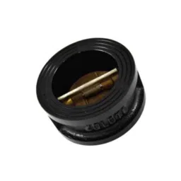 Zoloto 80mm Cast Iron Dual Plate Wafer Type PN 16 Check Valve, 1082-image-84