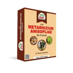 EBS 1kg Metarhizium Anisopliae Bio Pesticide for Control Root Weevils, Plant Hoppers, Japanese Beetle &a; Black Vine Weevil-image-71