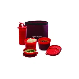 Signoraware T Blue 1580 ml Combo Medium Executive Lunch with Bag, 521-picture-4