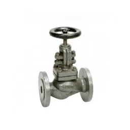 Sant 8 Inch Cast Iron Globe Valve, CI 1A-image-14