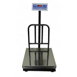 Metis 250kg and 20g Accuracy Heavy Duty Iron Platform Weighing Machine-image-13
