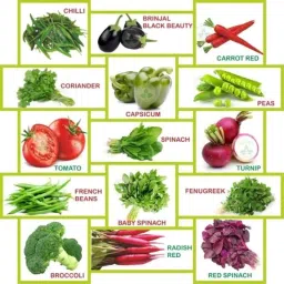 Only For Organic 320gWinter Vegetable Seeds with Cocopeat Block-image-79
