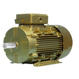 Crompton IE2 Flame Proof 3HP Four Pole Squirrel Cage Flame Proof Induction Motors, E100L-picture-45