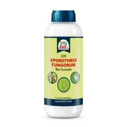 EBS 1 Litre Sporothrix Fungorum Bio Pesticide for Control All Types Mites on All Crops (Pack of 5)-image-81